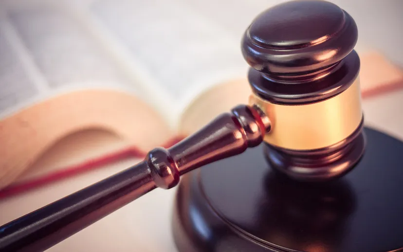 A wooden judge's gavel resting on its block in front of an open law book.